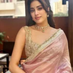 Celebrity Inspired BNS Saree