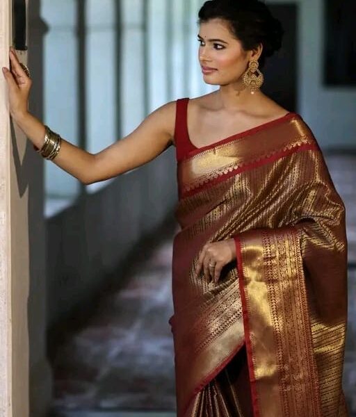 TAMRA NOOR BRONZE KATAN SOFT BROCADE SAREE