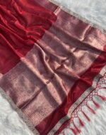 Woman wearing shimmery red bridal tissue silk saree with elegant mirror lace work for wedding and festive celebrations