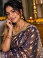 Royal Blue Banarasi Tissue Silk Saree with silver zari leaf buti design, Swarovski stone work, rich Banarasi zari border, and designer lace by BNS Saree Centre, Varanasi.